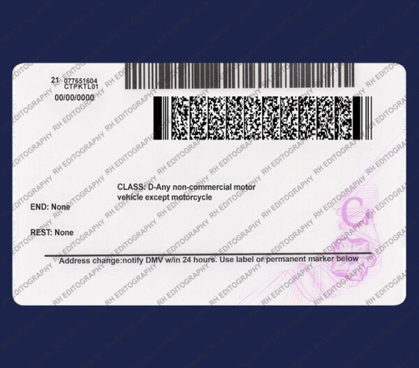 Connecticut Driving License PSD Template - Image 2